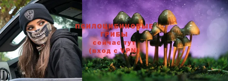 Галлюциногенные грибы Magic Shrooms  где продают наркотики  Бор 