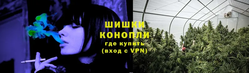 блэк спрут зеркало  Бор  Бошки Шишки SATIVA & INDICA 